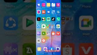 How To download (WIKI) BRUSKO BROS screenshot 5