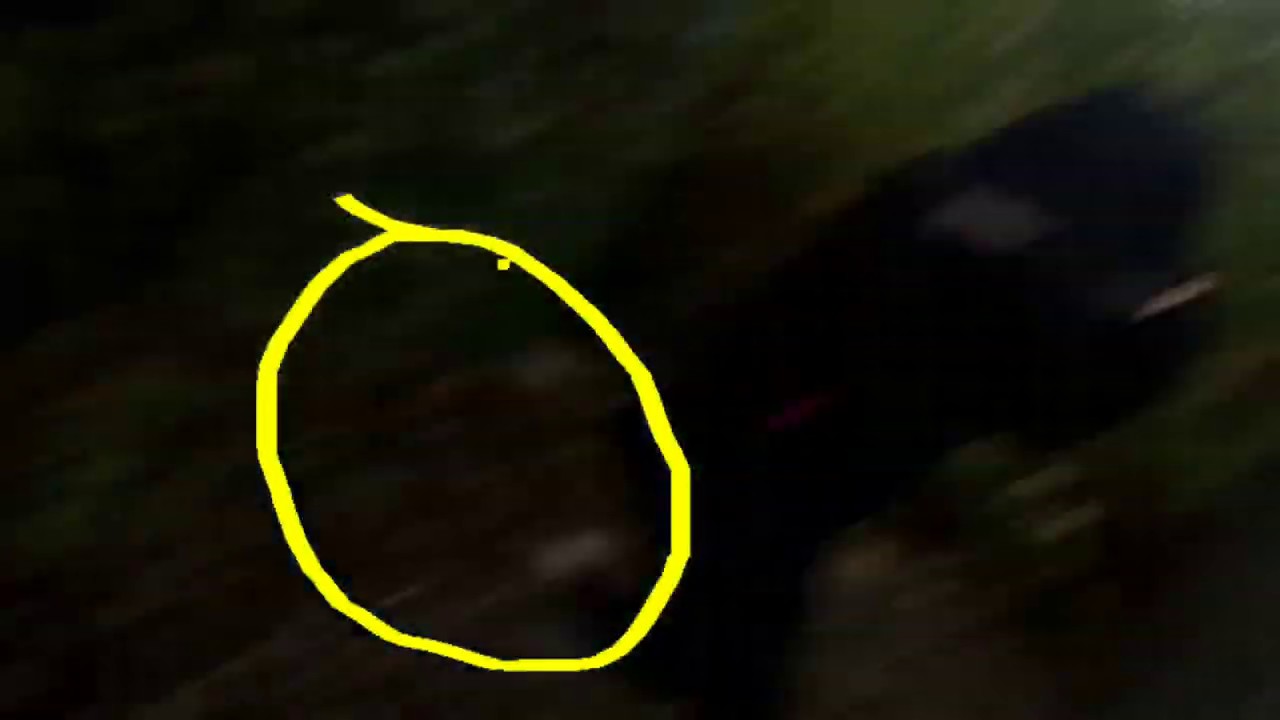 FUNNY STALKER FAILS COMPILATION