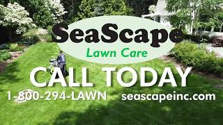 Get 50% Off Your First Application with SeaScape Lawn Care