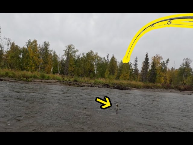 WFS 346 - Fly Fishing Gear for Alaska with FishHound Expeditions