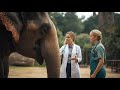 OET Vet - Speaking Role Play - Bacterial Infection