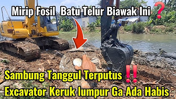Sambung Tanggul Terputus‼️ Excavator Keruk lumpur Ga Ada Habis #normalisasikali #dedimulyadi