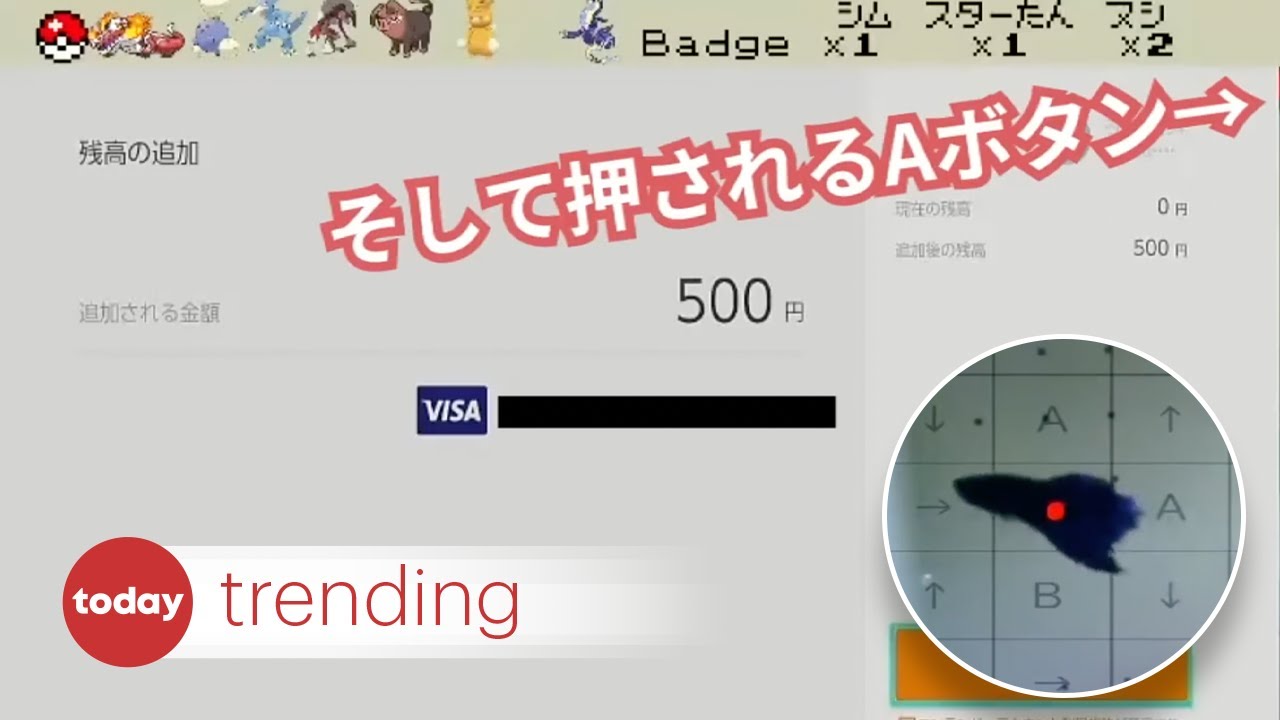 In Japan, pet fish playing Nintendo Switch run up bill on owner's credit  card, News