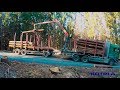 MAN TGS 33,500 6X6 Timber Truck Loading .. fa Kotrla.a.s.