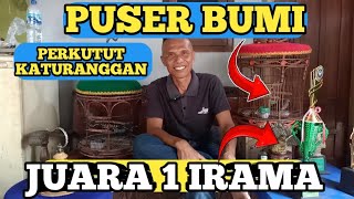 Perkutut Lokal Irama Juara 1mental Bajaberkaturanggan Puser Bumimrtaryono Jogjakarta