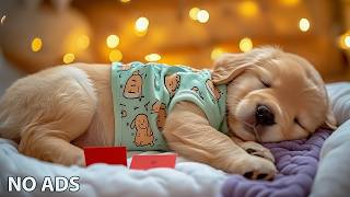 12 Hours Dog Relaxing Music For Dogs 🐶 Calming Dog Music - Gentle Sleep Support 🎵 No Ads screenshot 5
