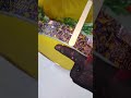 “Turning Sticks Into Art|| Icecreamsticks crafts#artscraft #art#viral#diy#shorts#foryou #foryoupage