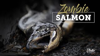 Wild Alaska Zombie Fish