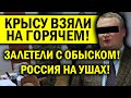 КРЫСУ ПОЙМАЛИ! РОССИЯ НА УШАХ - ВЛАСТЬ ПРИКАЗАЛА МОЛЧАТЬ!