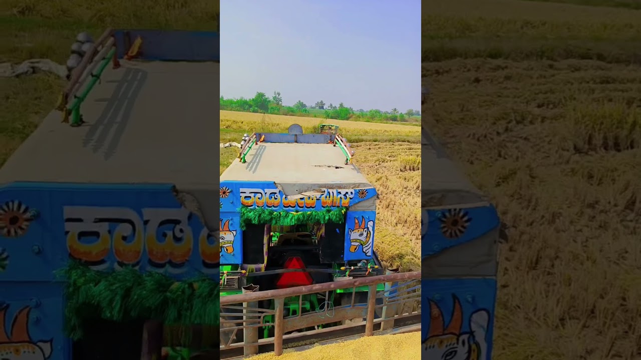 FARMER power 🌾🧿