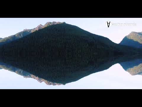 Steve Aoki x KREAM - LIES