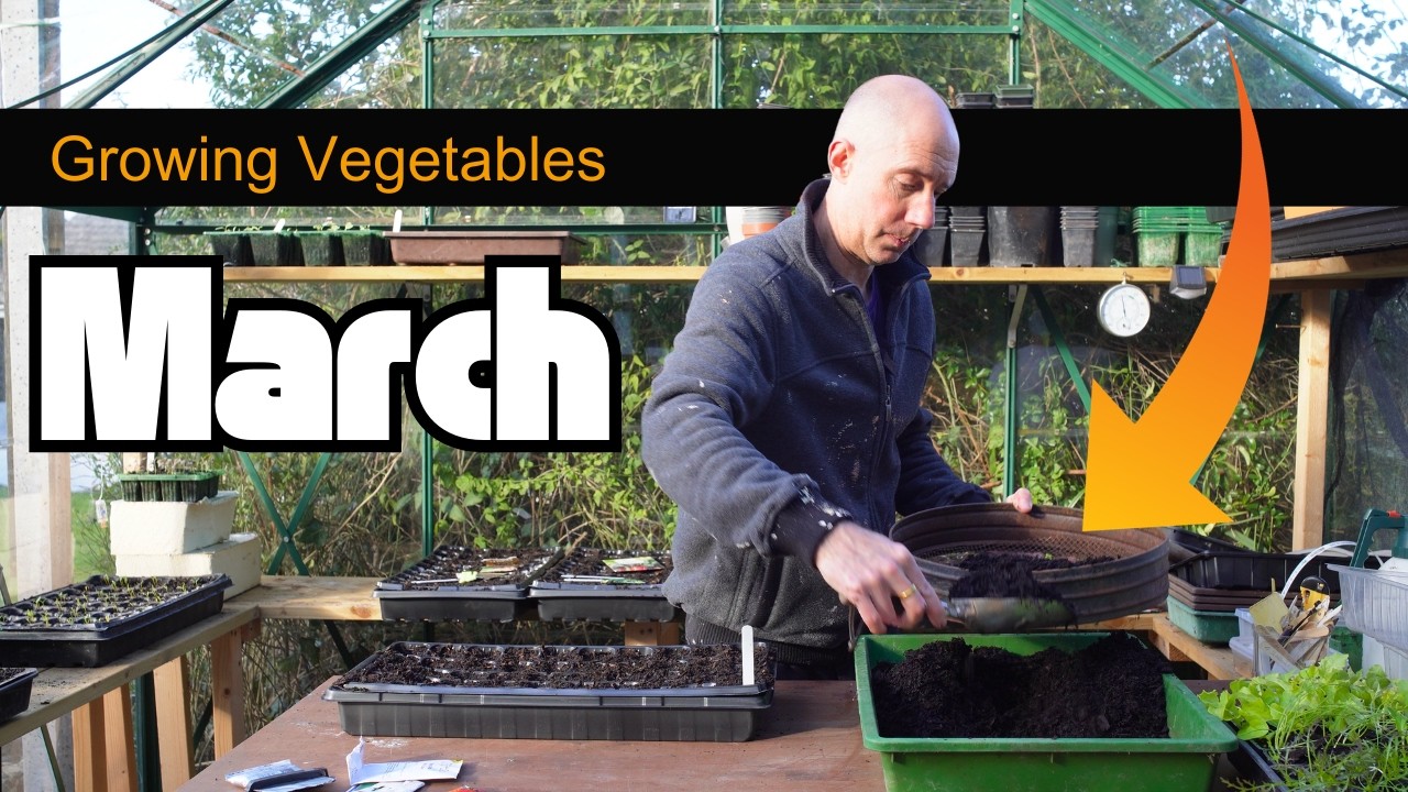 Vegetable Seed Sowing in March | Practical Gardening Tips for Home and Allotment