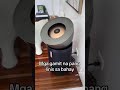 gamit na pang linis ng bahay