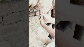 Crazy Public Dares Most Embarring Yet Funny