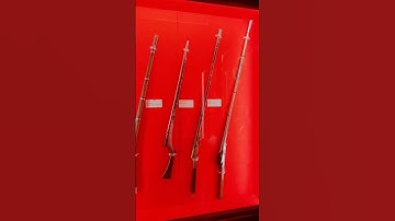 New Rajputana status video || status for rajput boys