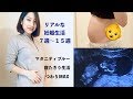 超リアルな妊娠初期生活７週〜１５週グダグダVlog