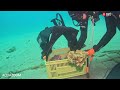 Efforts to protect Eilat corals underway during Navy base cleanup - YnetGlobal