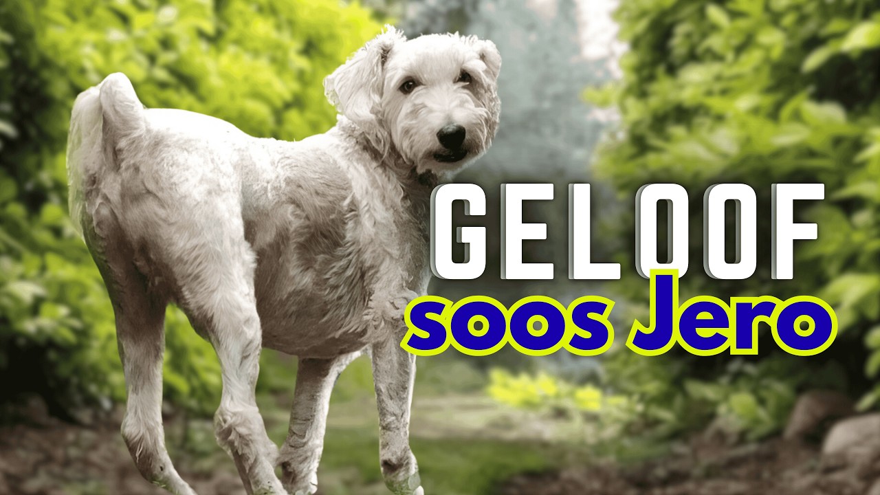 GELOOF soos Jero | Ep2 | Marina Myburgh #podcast