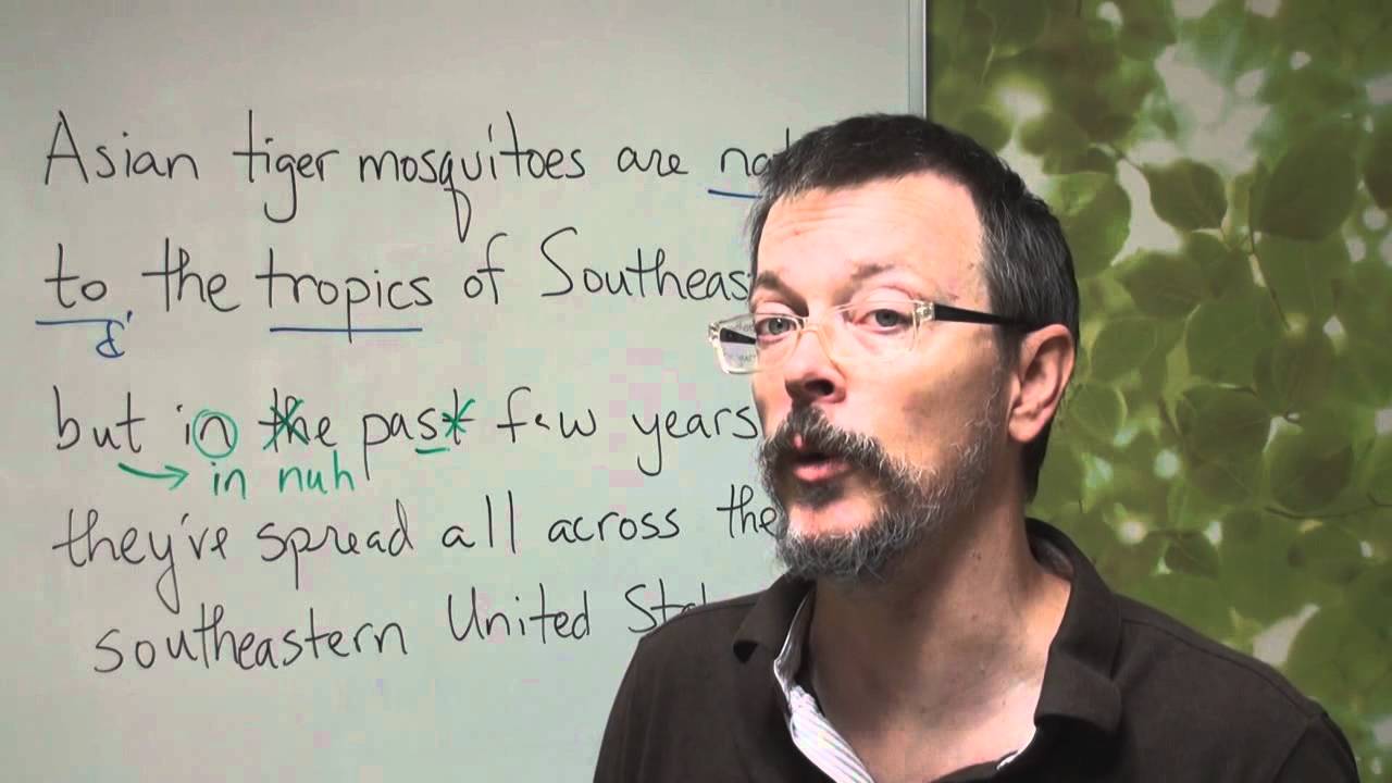 Daily English Dictation 14 YouTube Daily english dictation 14 youtube