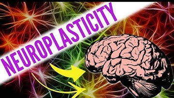 How to Increase Neuroplasticity? 7 Ways to Rewire your Brain