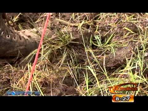 Sección Nuestra BIOSFERA: Efectos del Cambio Climático - 23 Oct 2012