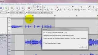 Famous Audacity: Save Projecdt Net Worth