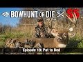 Mid-Day Bowhunt Pays Off with a Huge Buck | Bowhunt or Die S5E19