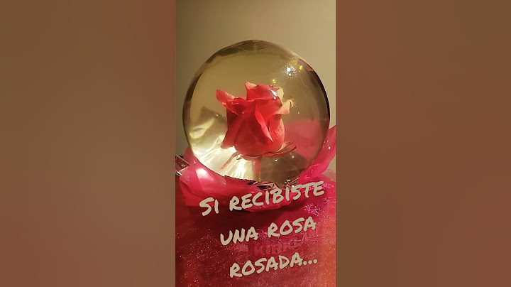 QUE SIGNIFICA, cuando te regalan una rosa? #graciasNika