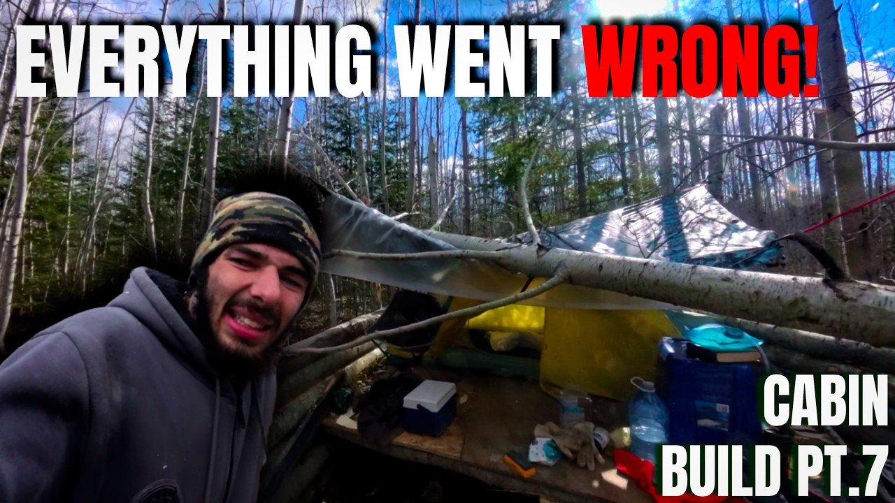 A Tree FELL On My CABIN! PT.7