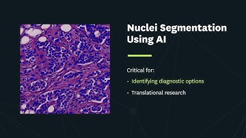 Visiopharm Nuclei Segmentation Animation