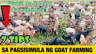 Goat Farming🐐| 7 Tips Sa Pagsisimula Ng Goat Farm | BACKYARD FARMING