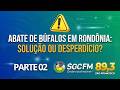 ABATE DE BÚFALOS EM RONDÔNIA: SOLUÇÃO OU DESPERDÍCIO? PARTE 02
