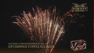 GFC02049125 ГОРОД НА ВОДЕ