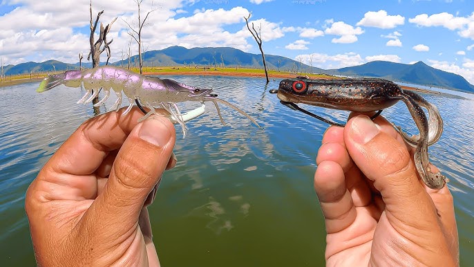 ChaseBaits Introduces Three of Their Lures at Icast 2019 