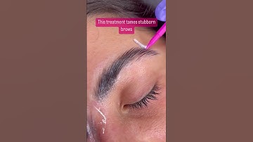 6 Facts About Brow Lamination #browlamination #browshaping #browsonfleek #eyebrowshaping #eyebrows