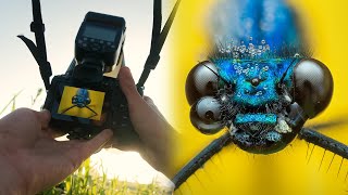 POV Macro Photography - Episode 2