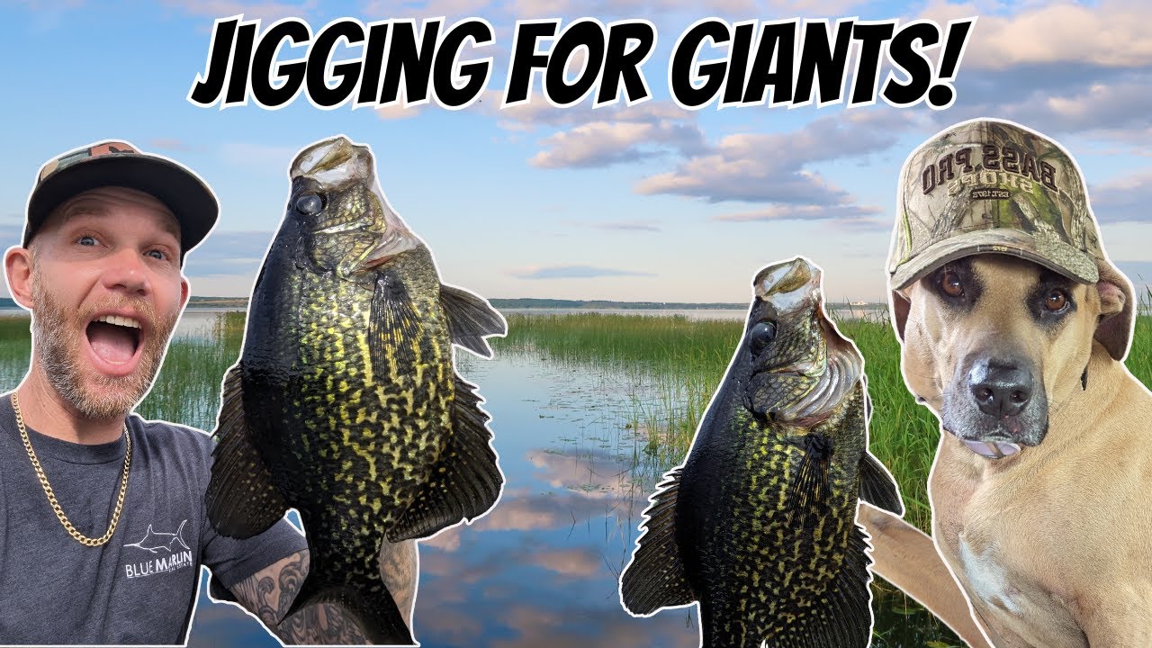 JIGGING FOR SPECKLED PERCH! *How to jig for crappie* Florida speck