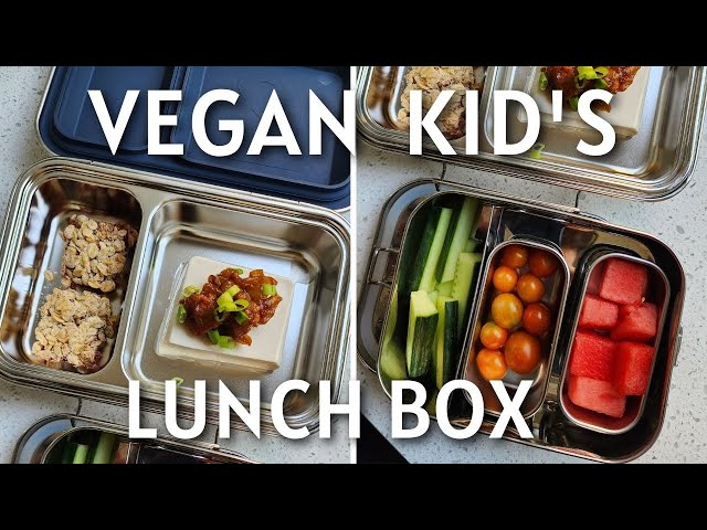 Lunch Boxes for Kids to Take to School - Vidhya's Vegetarian Kitchen