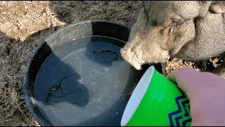 Thumbnail for Jon Drinks Water #9100 Jim's Farm