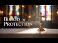This Prayer Will Protect You From Spiritual Wolves in Sheep's Clothing