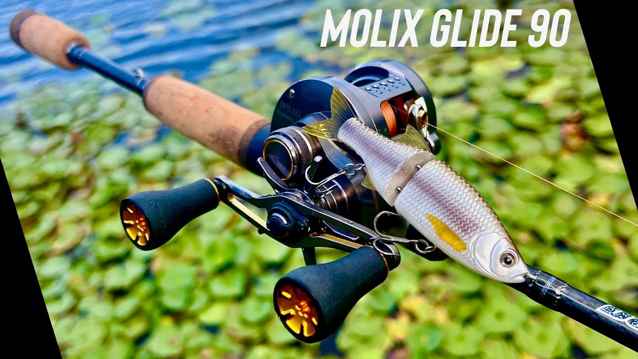 Fish love this new MINI glidebait! BFS Bass fishing