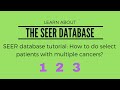How to Select Patients with Multiple Cancers Using the SEER Database