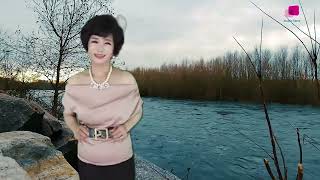 트로트메들리5곡-한지안,연화,혜인,금자란,유화