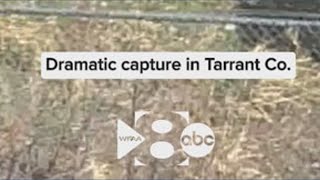 Famous Dramatic capture of an escaped inmate in Tarrant County Wealth