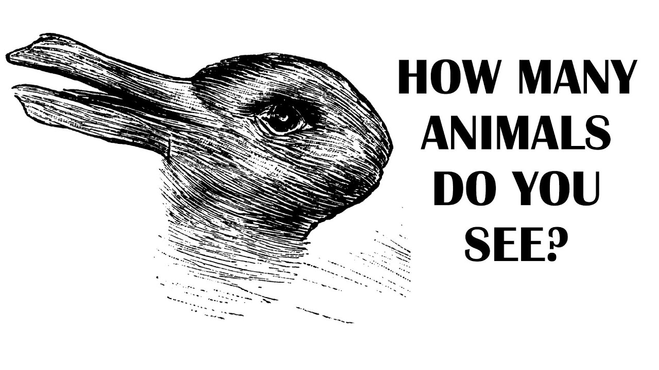 How Many Animals Do You See? Riddle That Will Test Your Brain Power ...