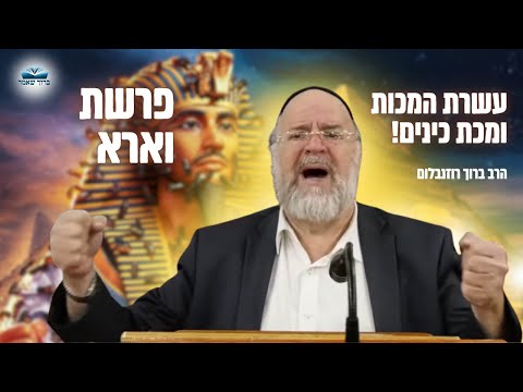 הרב ברוך רוזנבלום • מדרשים וסיפורים מרתקים על מכת כינים (גם ליהודים היה!)