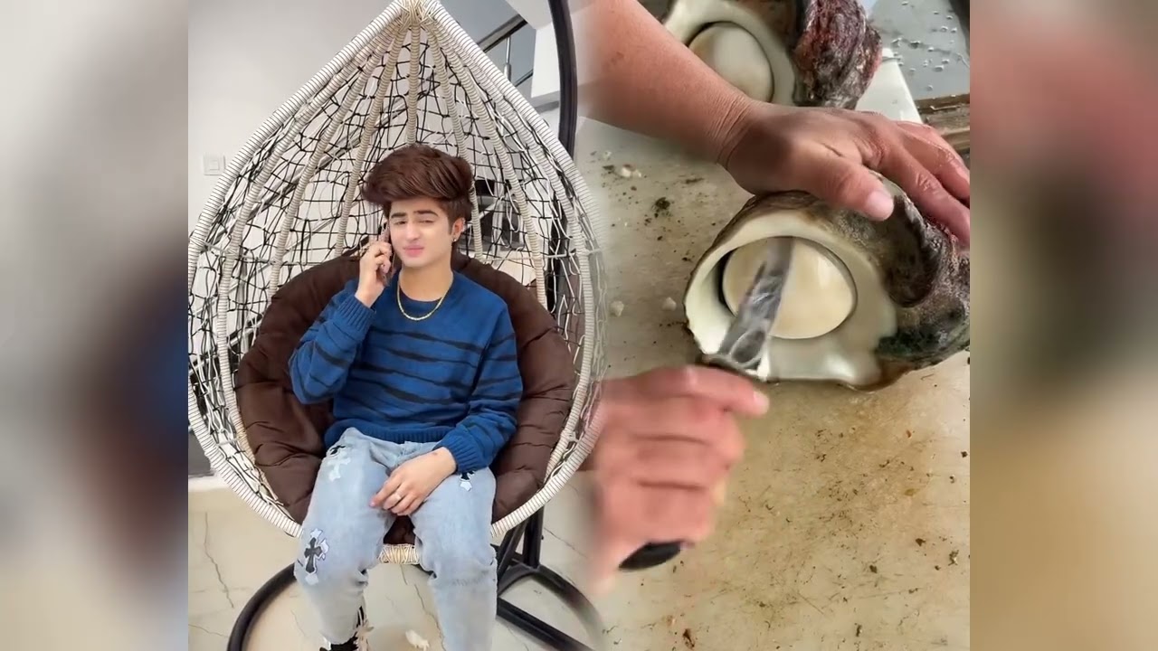 2026 Crazy POV! 🤣👌 Please subscribe for more! 🙏✨#humor #fyp #pov #foryou #PleaseSubscribe