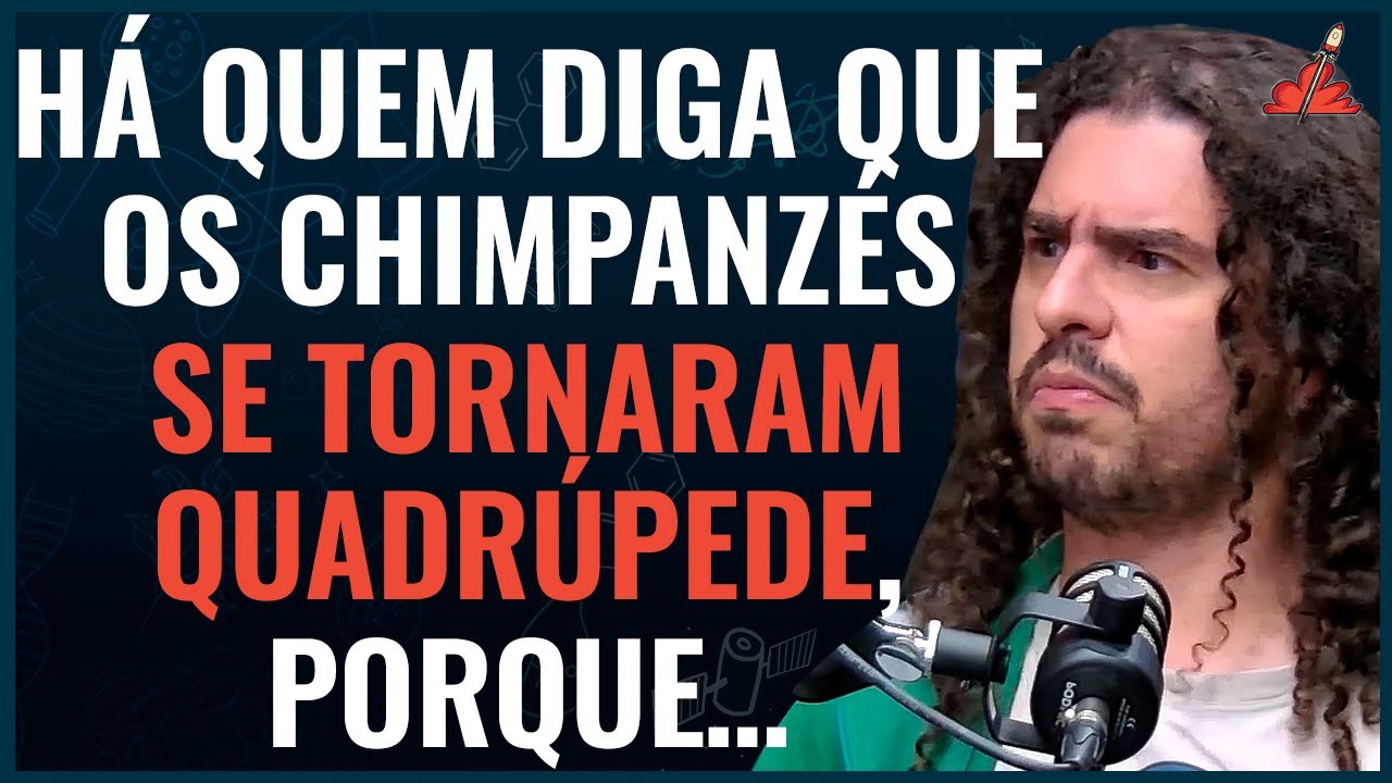 PORQUE somos BÍPEDES e os PRIMATAS não