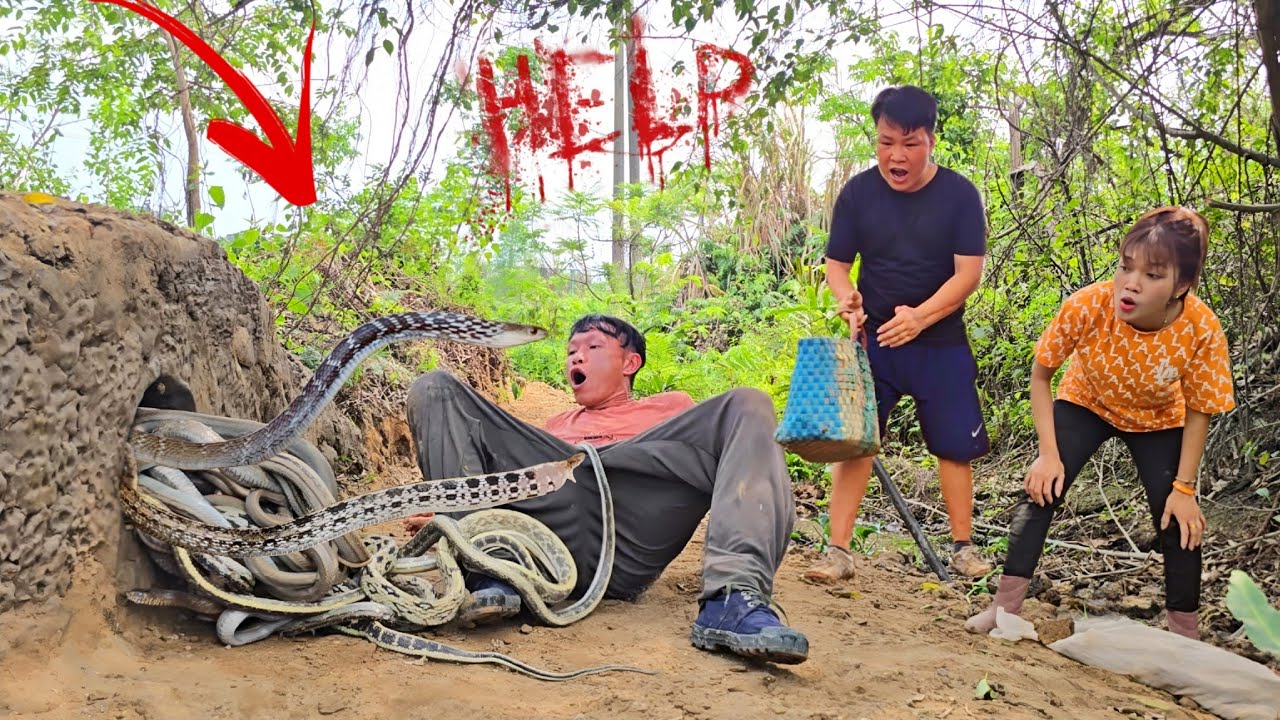 Brave Expert Catch 100 Giant Snakes By Hand
