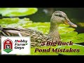 5 mistakes to avoid when building a duck pond